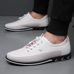 MEN'S CASUAL CONTRAST COLOR EMBROIDERY CASUAL SHOES 26654633S