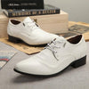 MEN'S CASUAL LACE-UP POINTED TOE DRESS SHOES 01425604S